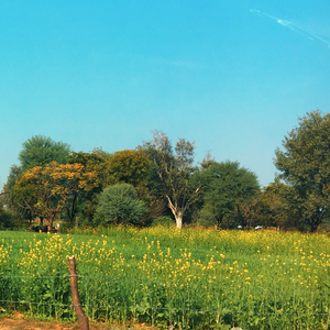 India's Farm Laws: From Dirigisme to Soil-Sovereignty